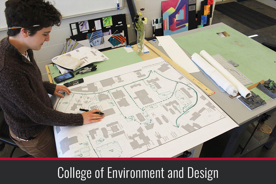 College of Environment and Design